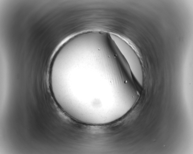 X0000086060904200704091226