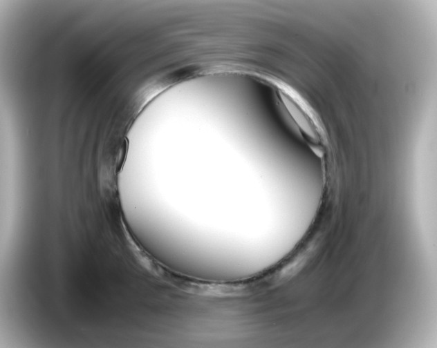 X0000086060905200704091226