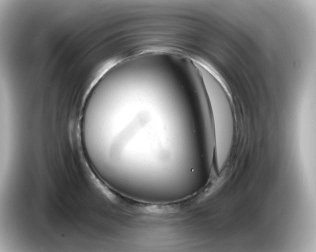 X0000086060906200704091226