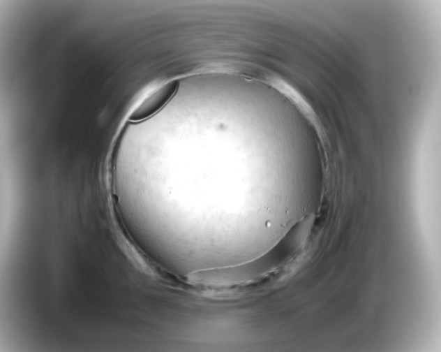 X0000086060907200704091226