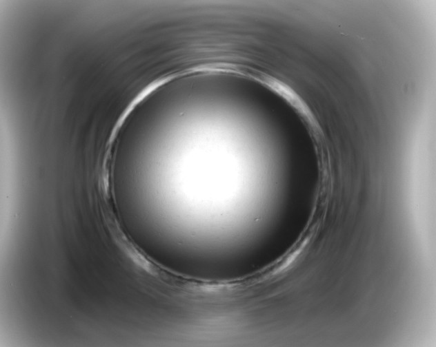 X0000086060908200704091226