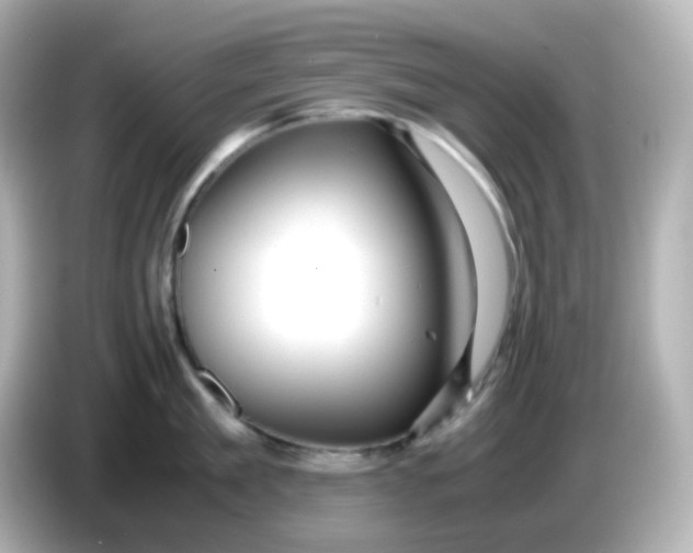 X0000086060909200704091226