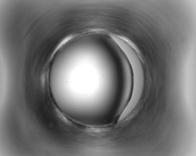 X0000086060910200704091226