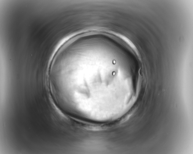 X0000086060911200704091226