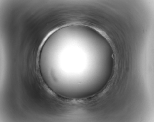 X0000086060912200704091226