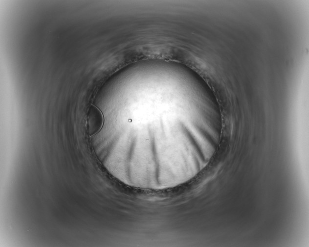 X0000086060913200704091225