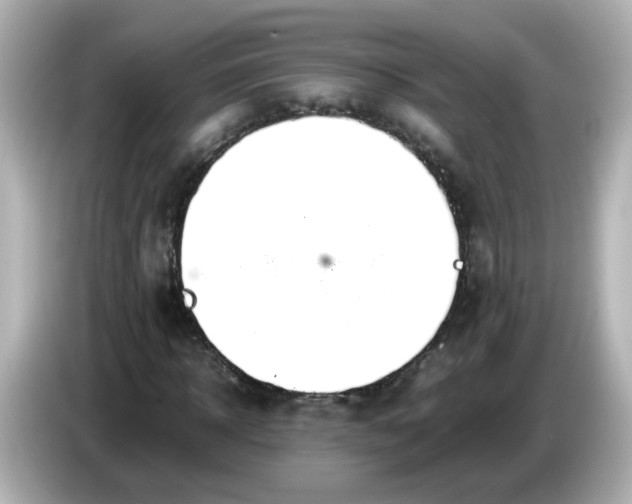 X0000086060918200704091225