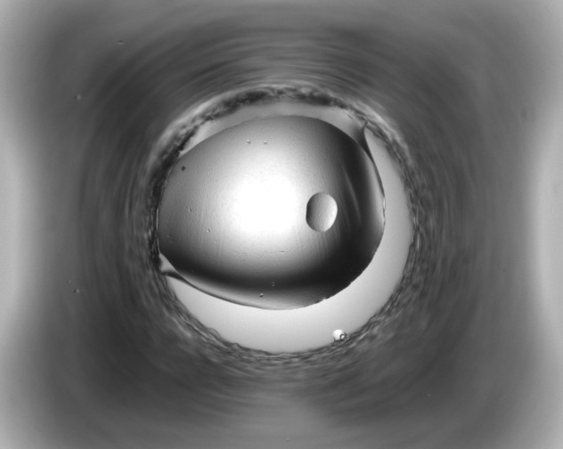 X0000086060920200704091225