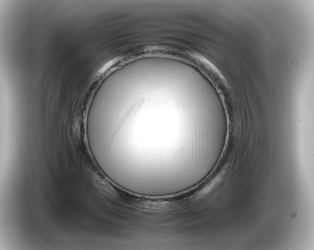 X0000086060921200704091225