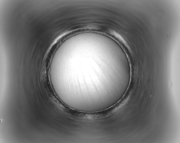 X0000086060923200704091225