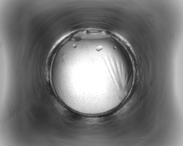 X0000086060925200704091225