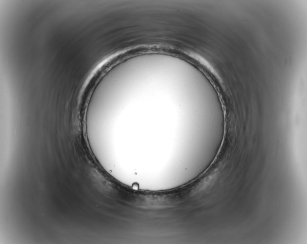 X0000086060927200704091225