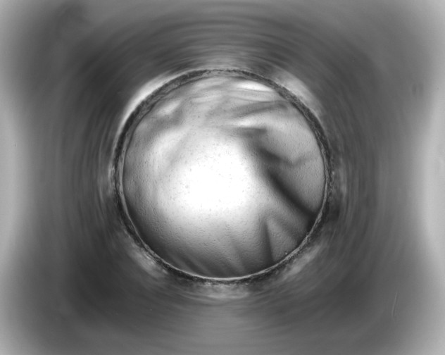 X0000086060928200704091225