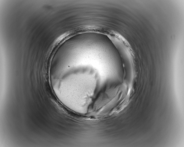 X0000086060930200704091225