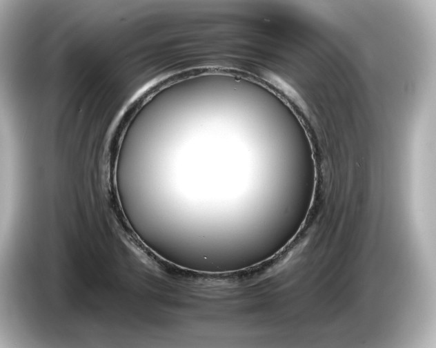 X0000086060931200704091225