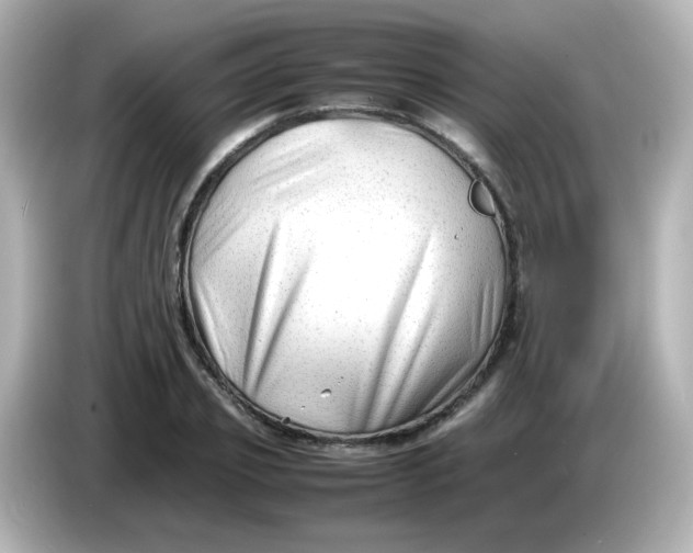 X0000086060933200704091225