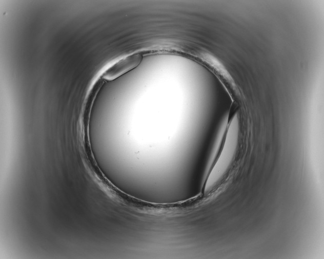 X0000086060936200704091225