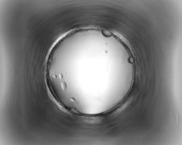 X0000086060941200704091225