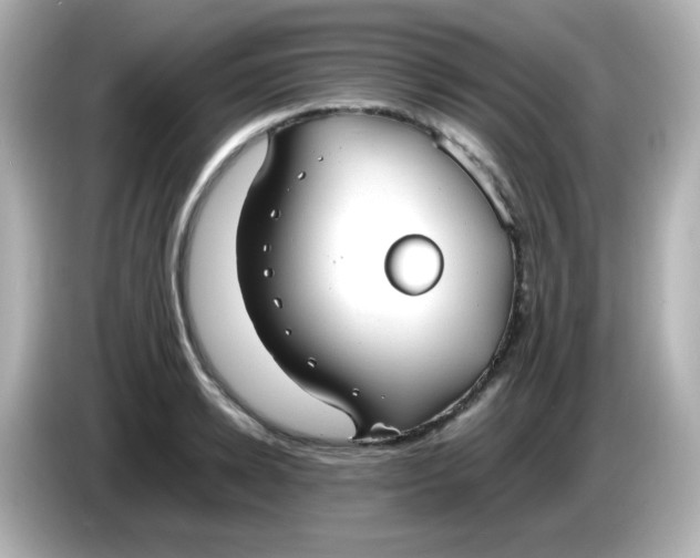 X0000086060942200704091225