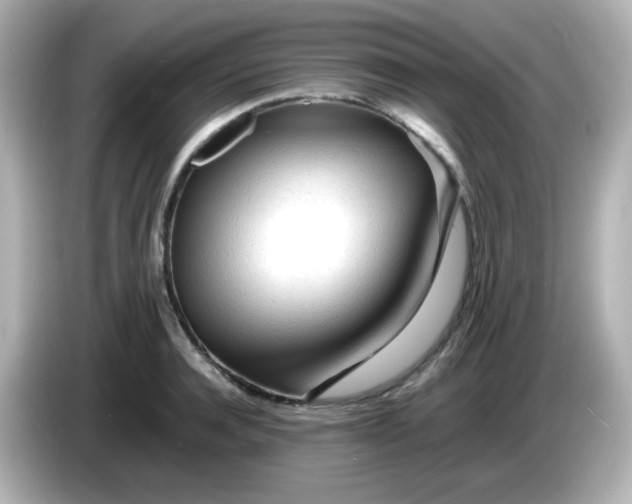 X0000086060944200704091225