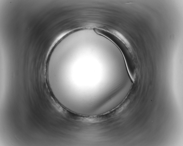 X0000086060948200704091226