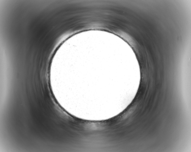 X0000086060950200704091226