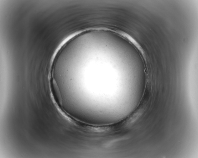 X0000086060951200704091226