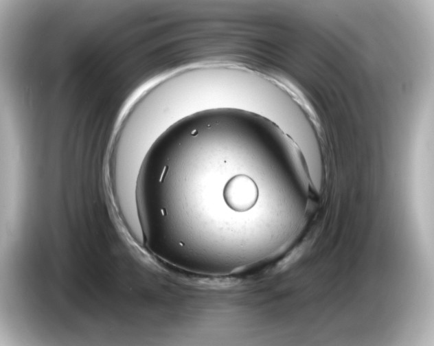 X0000086060952200704091226