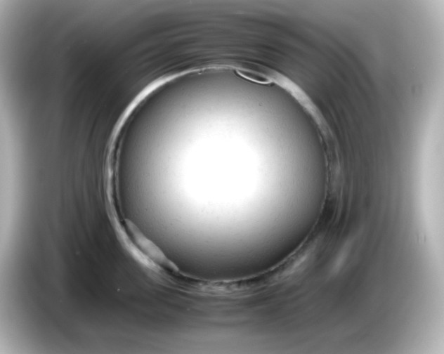 X0000086060955200704091226