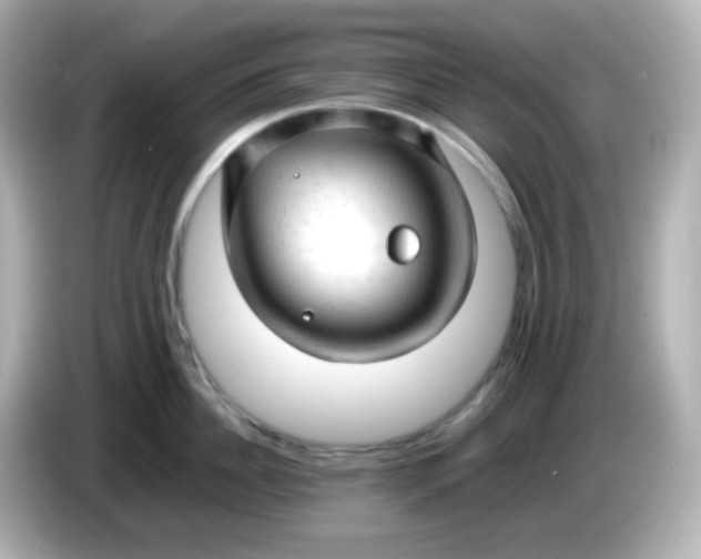 X0000086060956200704091226