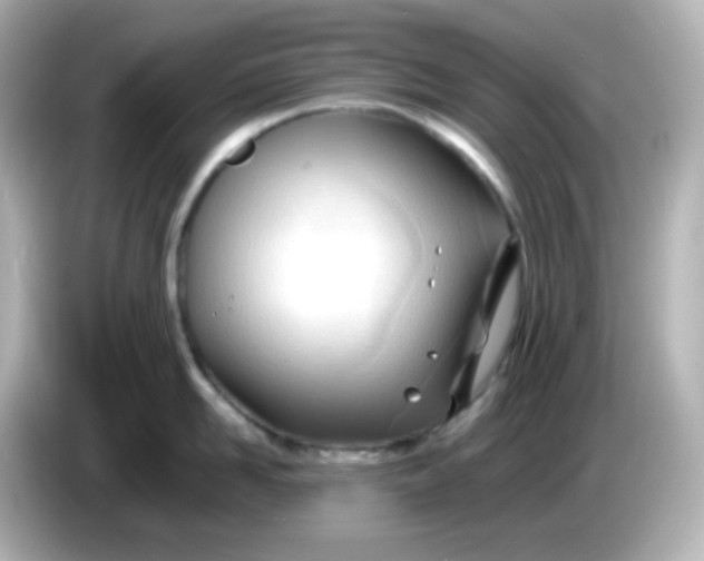 X0000086060958200704091226