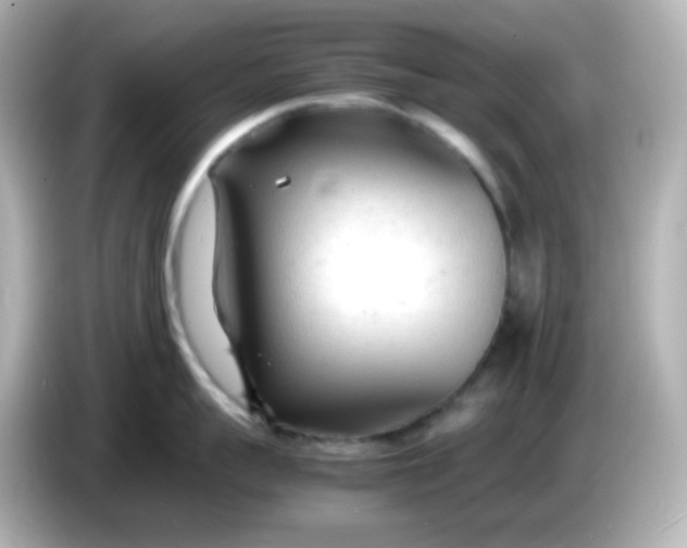 X0000086060959200704091226