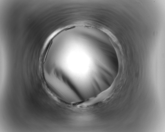 X0000086060960200704091226