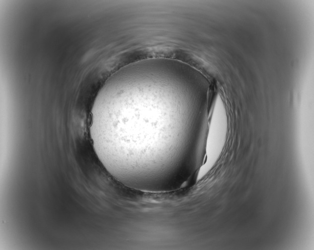 X0000086060963200704091225