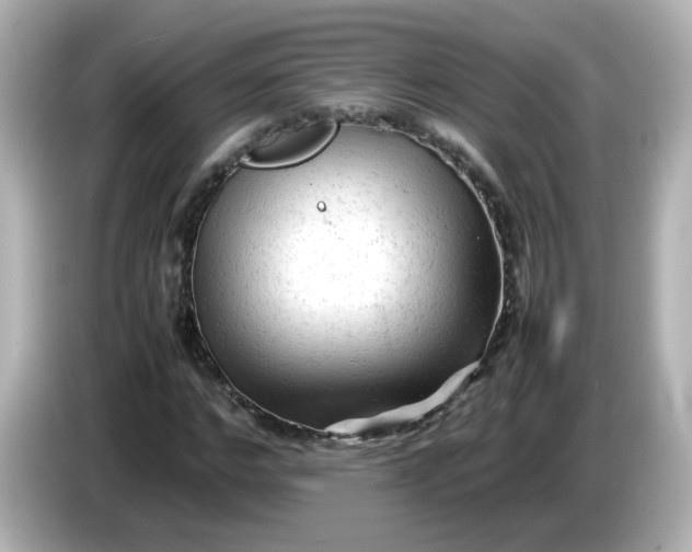 X0000086060968200704091225