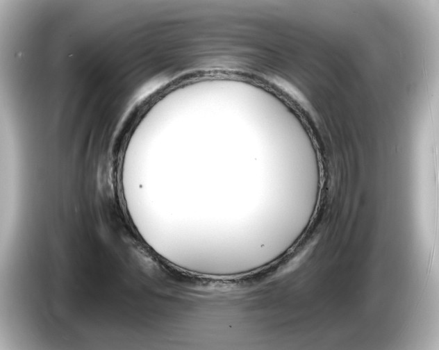 X0000086060974200704091225