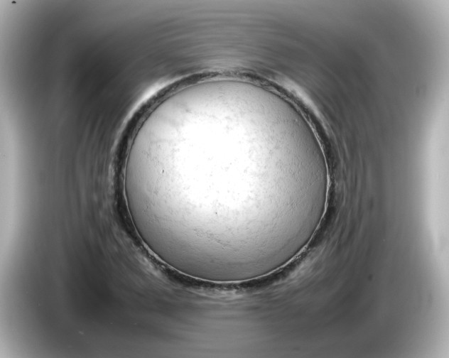 X0000086060975200704091225