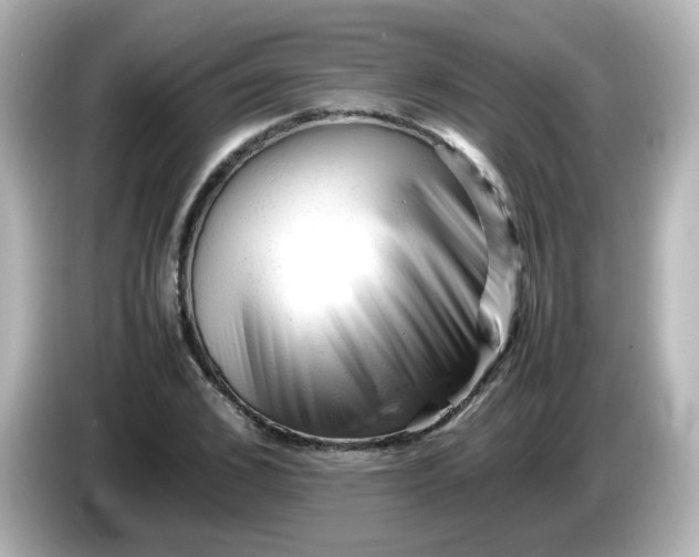 X0000086060976200704091225