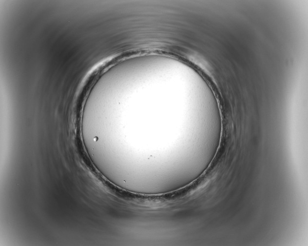 X0000086060979200704091225