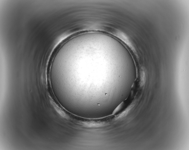 X0000086060980200704091225