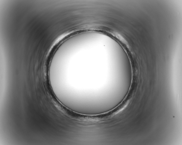 X0000086060981200704091225