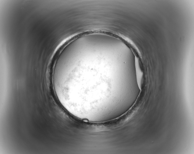 X0000086060983200704091225