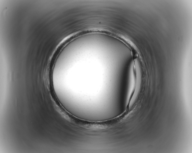 X0000086060984200704091225