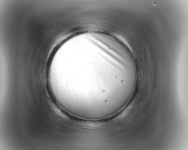 X0000086060987200704091225