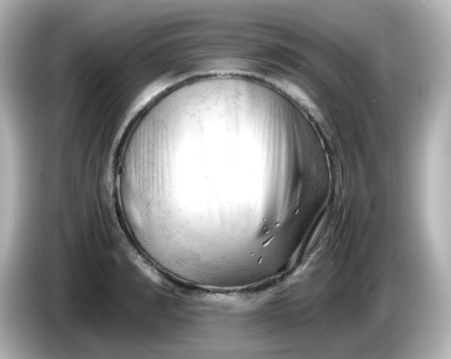 X0000086060990200704091225