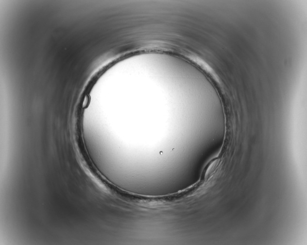 X0000086060991200704091225