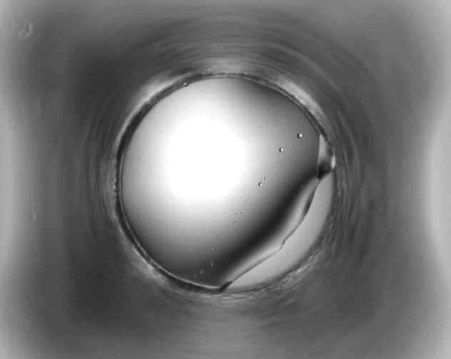 X0000086060992200704091225