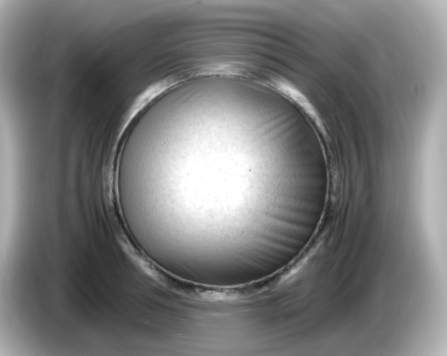 X0000086060994200704091225