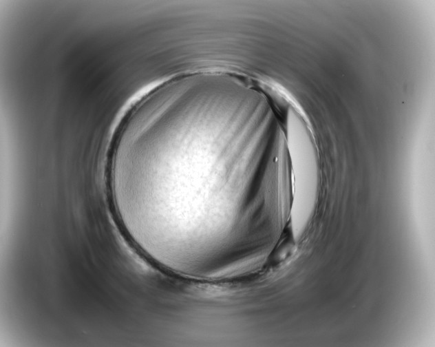 X0000086060995200704091225