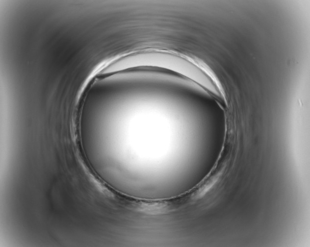 X0000086060997200704091225